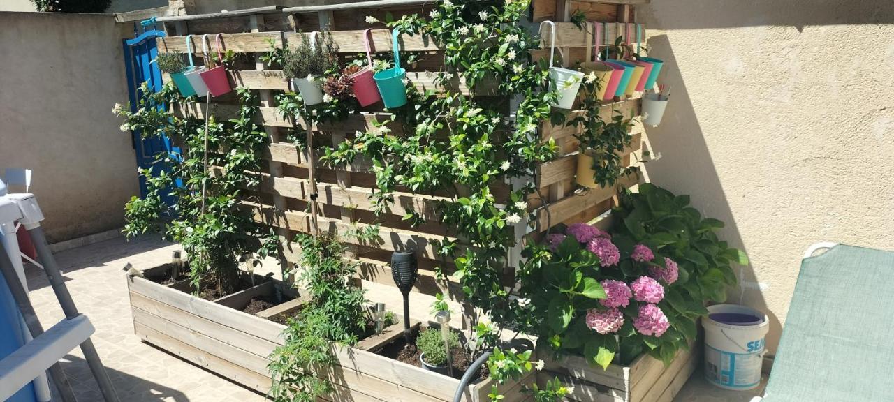 Studio Pour Location Vacances A La Semaine Avignon Kültér fotó