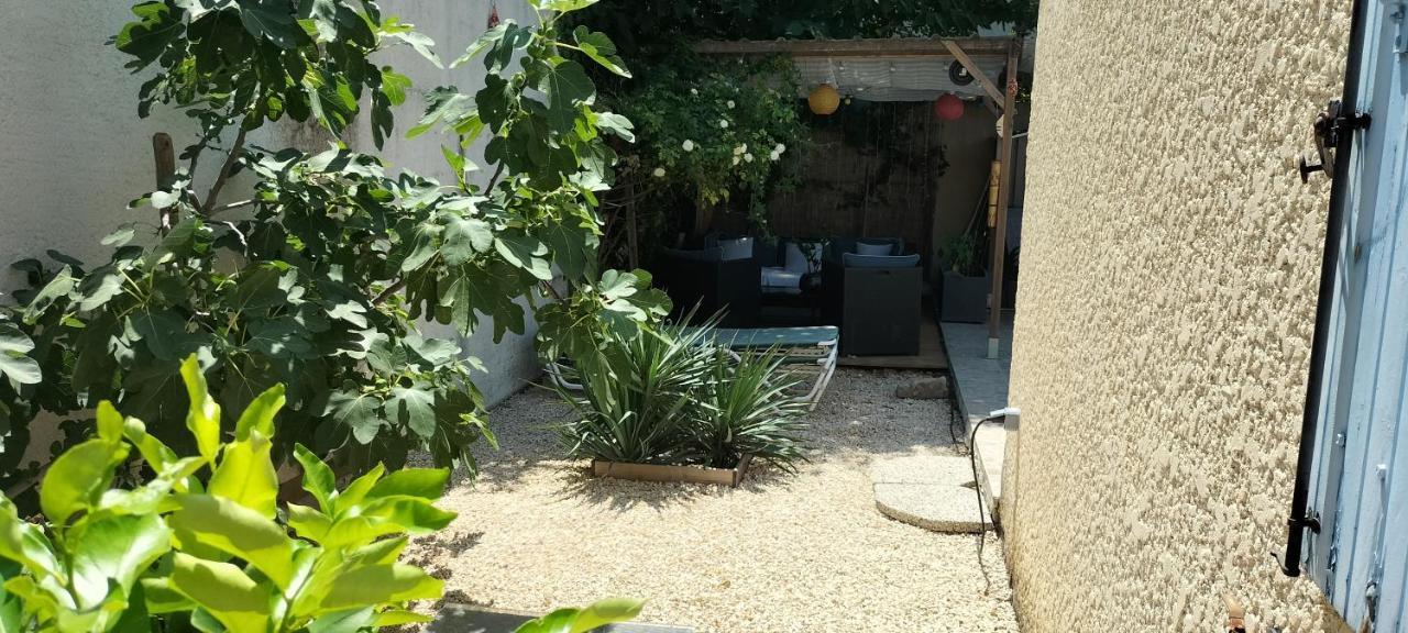 Studio Pour Location Vacances A La Semaine Avignon Kültér fotó